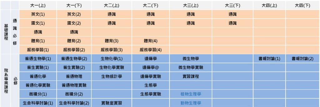 大學部課程地圖2