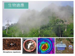 生物適應