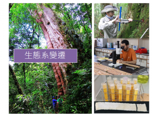 生態系變遷