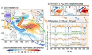 The modulation of Pacific Decadal Oscillation on ENSO-East Asian summer monsoon relationship over the past half-millennium