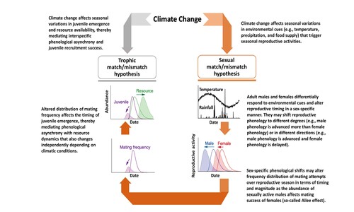 理論生態･演化生態・氣候變遷 三個研究室合作發表