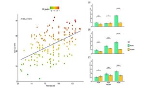 PeCIN8 expression correlates with flower size and resistance to yellow leaf disease in Phalaenopsis orchids