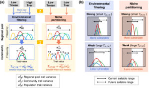 Mechanistic understanding of how temperature and its variability shape body size composition in moth assemblages